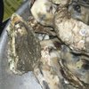 The Tides Oyster Co. & Grill gift card