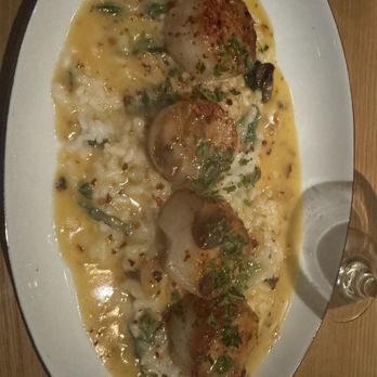 Buck & Rider - Scallops with risotto - Seafood Near Me - Phoenix, Arizona Buck & Rider - Scallops with risotto - Seafood Near Me - Phoenix, Arizona