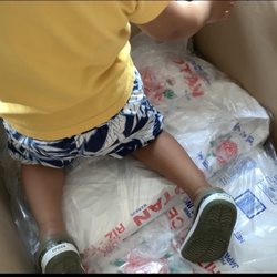 Forex Toronto - My son helping with the 'packing'