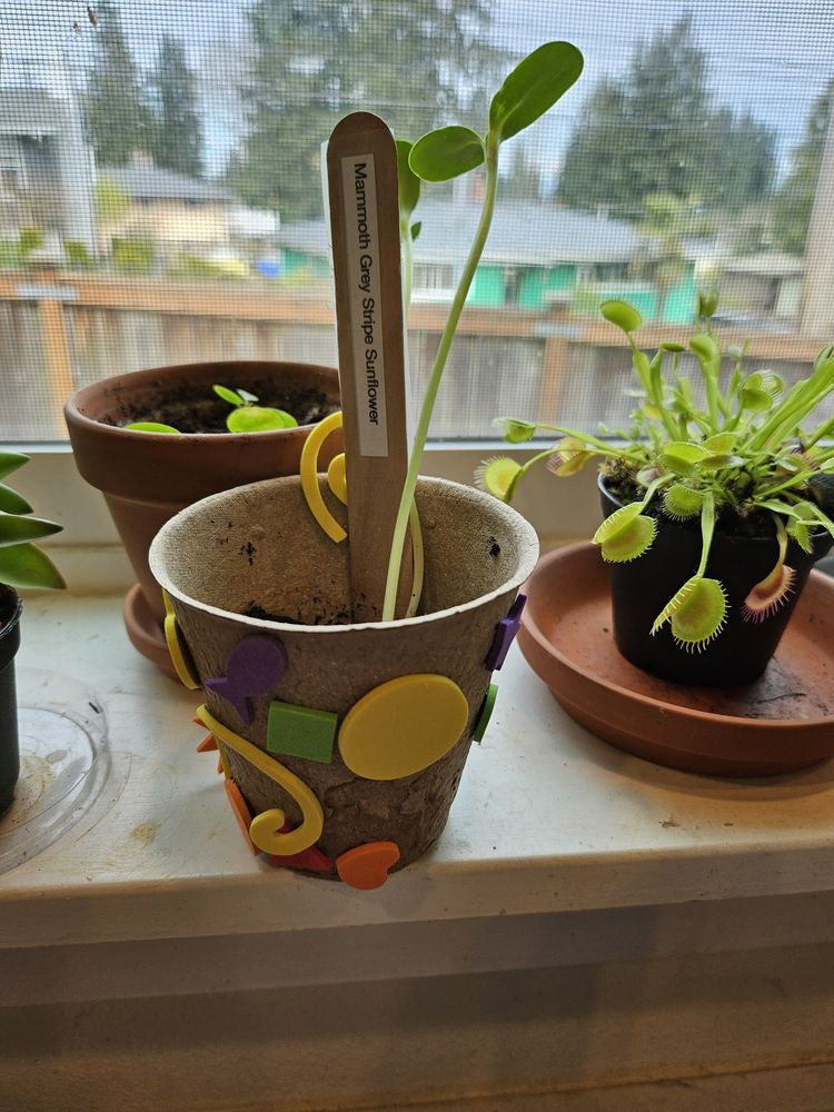 Forest Park Daycare and Preschool - childcare center in Everett, WA