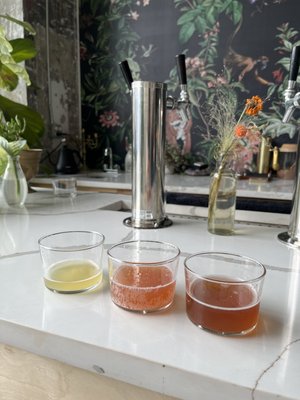 BKE Kombucha by null