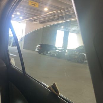 Tint Guard - Auto Glass Services Near Me - Pinellas Park, Florida Tint Guard - Auto Glass Services Near Me - Pinellas Park, Florida