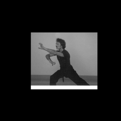 Shaolin Wudang Association