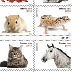 Effort Post Office - Cute pet stamps