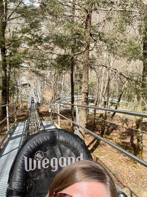 Wilderness Run Alpine Coaster by null