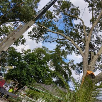 Getter Done Tree Service - Tree Services Near Me - Forsyth, Georgia Getter Done Tree Service - Tree Services Near Me - Forsyth, Georgia