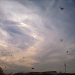 Parque Scalabrini Ortiz - No, no son pájaros, no son un avión, son barriletes :)