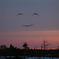 Comm World - Sometimes life is smiling but you have to be looking to see it! Have a great day!