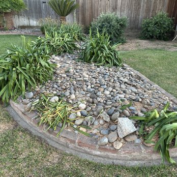 Arriaga M Tree Service - No stumps!!!!! - Tree Services Near Me - Fresno, California