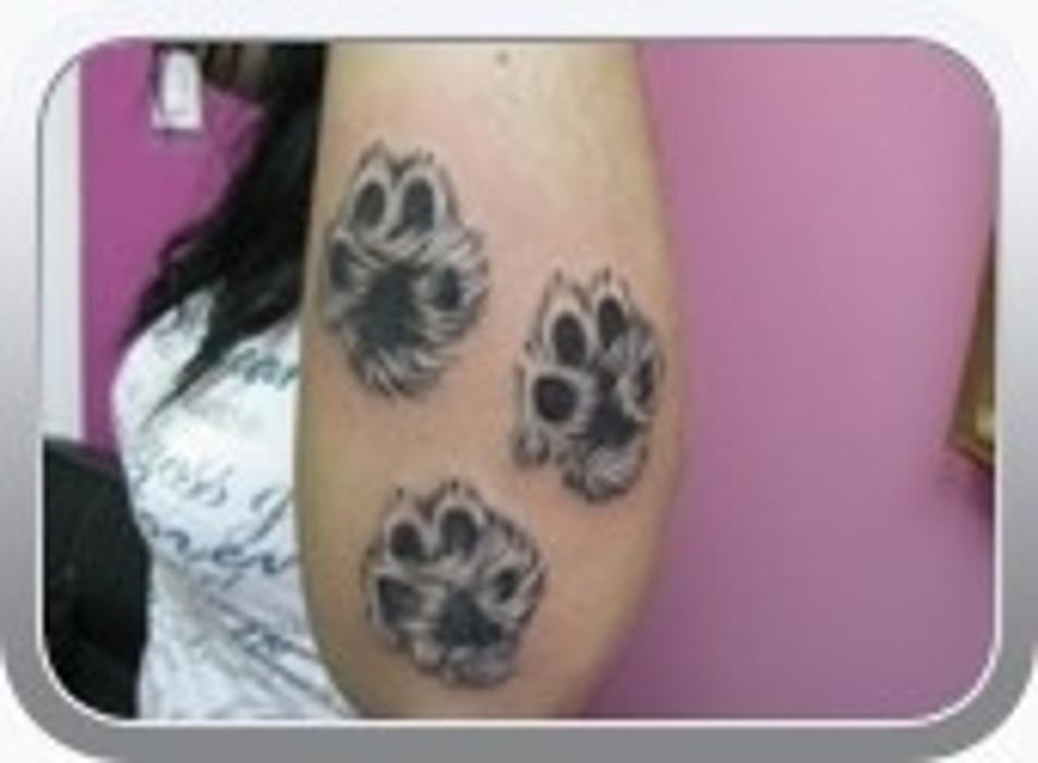 TATTOO & PIERCING SCHOOL OF CANADA Updated September 2024 32 Photos