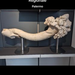 Museo Antonio Salinas