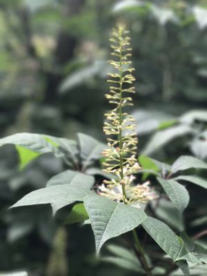 Cambridge University Botanic Garden by null