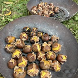 LaFever Chestnuts