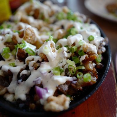 Junior Filipino by null