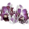 Orchid Esthetics gift card