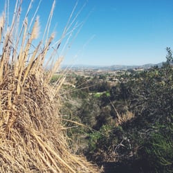 Black Sage trail at Aviara - Pretty views with a breeze