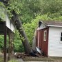 Photo of J.M.S. Tree Removal