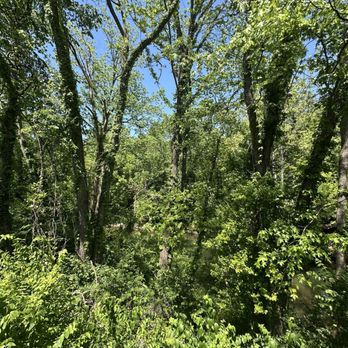 Perenn - View from side patio - Bakeries Near Me - Franklin, Tennessee