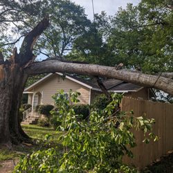 Cain's Tree Service