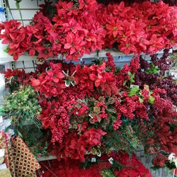 Dollar Tree