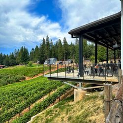 Edio Vineyards at Delfino Farms - Patio and vineyards