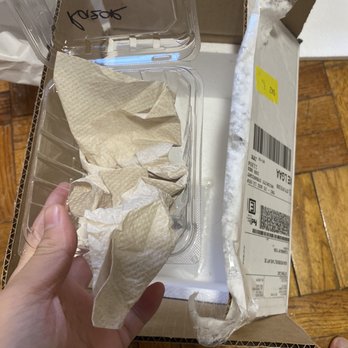 Snakes At Sunset - There is only one piece of paper in the box - Pet Stores Near Me - Miami, Florida Snakes At Sunset - There is only one piece of paper in the box - Pet Stores Near Me - Miami, Florida