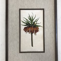 Art of Framing