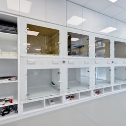 The London Cat Clinic