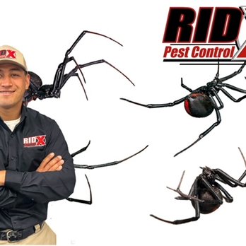 Ridx Pest Control - Pest Control Near Me - Bakersfield, California Ridx Pest Control - Pest Control Near Me - Bakersfield, California
