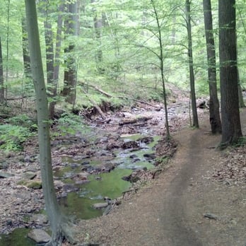 Patapsco State Park - Avalon Area - Trail - Parks Near Me - Halethorpe, Maryland
