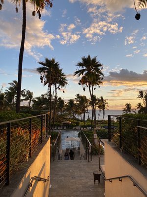 Morimoto Maui by null