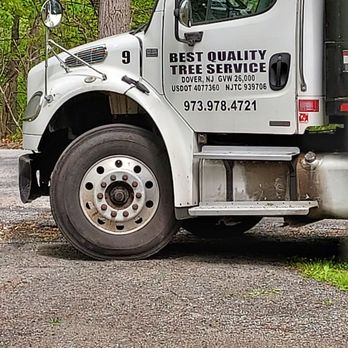 Friendly Tree Service - They were here - Tree Services Near Me