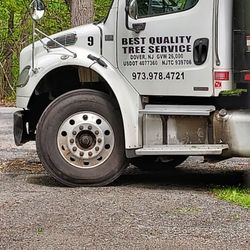 Friendly Tree Service - They were here