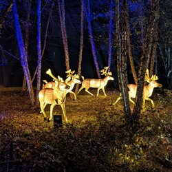 user provided Bronx Zoo photo