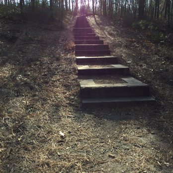 Blueberry Hill Trail - Hiking Near Me - Gibbsboro, New Jersey