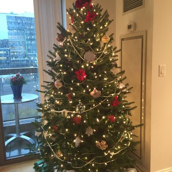 McKay's Christmas Trees - Christmas tree bought on Nov 30,2016 - Christmas Trees Near Me - Brighton, Massachusetts McKay's Christmas Trees - Christmas tree bought on Nov 30,2016 - Christmas Trees Near Me - Brighton, Massachusetts