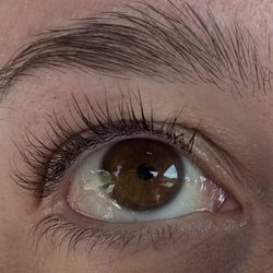 Beauty by Brie - Post lash lift/tint and eyebrow wax