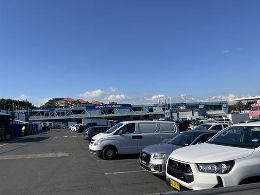 Sydney Fish Market by null