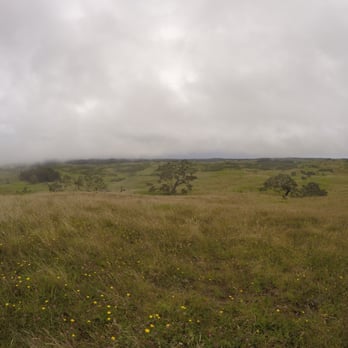 Hawaiian Legacy Tours - Overlooking the forest from the vista - Walking Tours Near Me - Paauilo, Hawaii