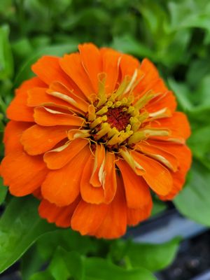 FRED MEYER - Updated December 2024 - 83 Photos & 108 Reviews - 11565 Sw