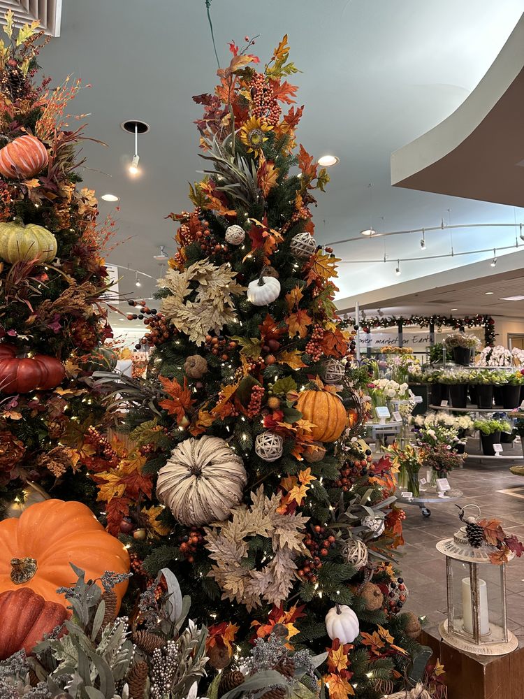 FIELD OF FLOWERS 321 Photos & 133 Reviews 5101 S University Dr