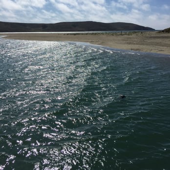 Dillon Beach - See if you can find the sea lion! - Beaches Near Me - Dillon Beach, California