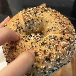 Fine Bagels - Everything with plain