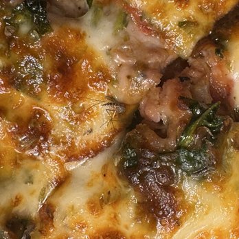 Nancy's Pizza Chicago West Loop - Some sort of bug (possibly a mosquito) on my pizza - Pizza Near Me - Chicago, Illinois Nancy's Pizza Chicago West Loop - Some sort of bug (possibly a mosquito) on my pizza - Pizza Near Me - Chicago, Illinois