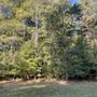 Photo of Hitching Post Campground