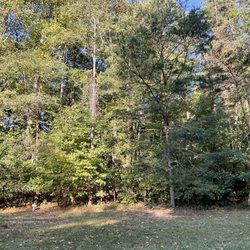 Hitching Post Campground - Our view