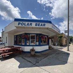 Polar Bear - Outside