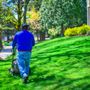 Photo of American Landscape Maintenance & Irrigation