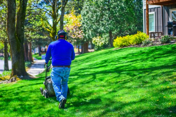 American Landscape Maintenance & Irrigation