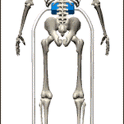 Klaus Thomas